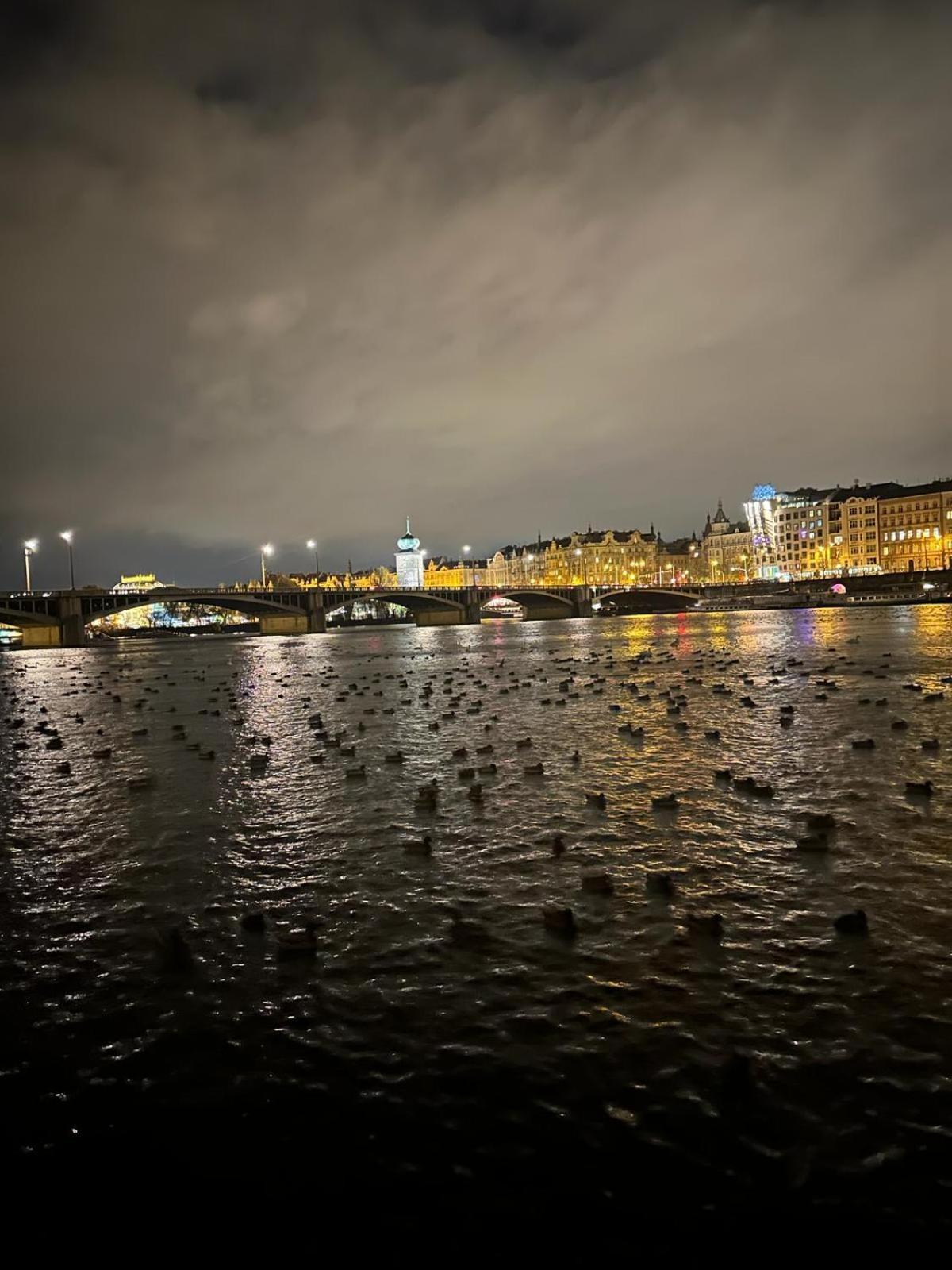River View Manes Praag
